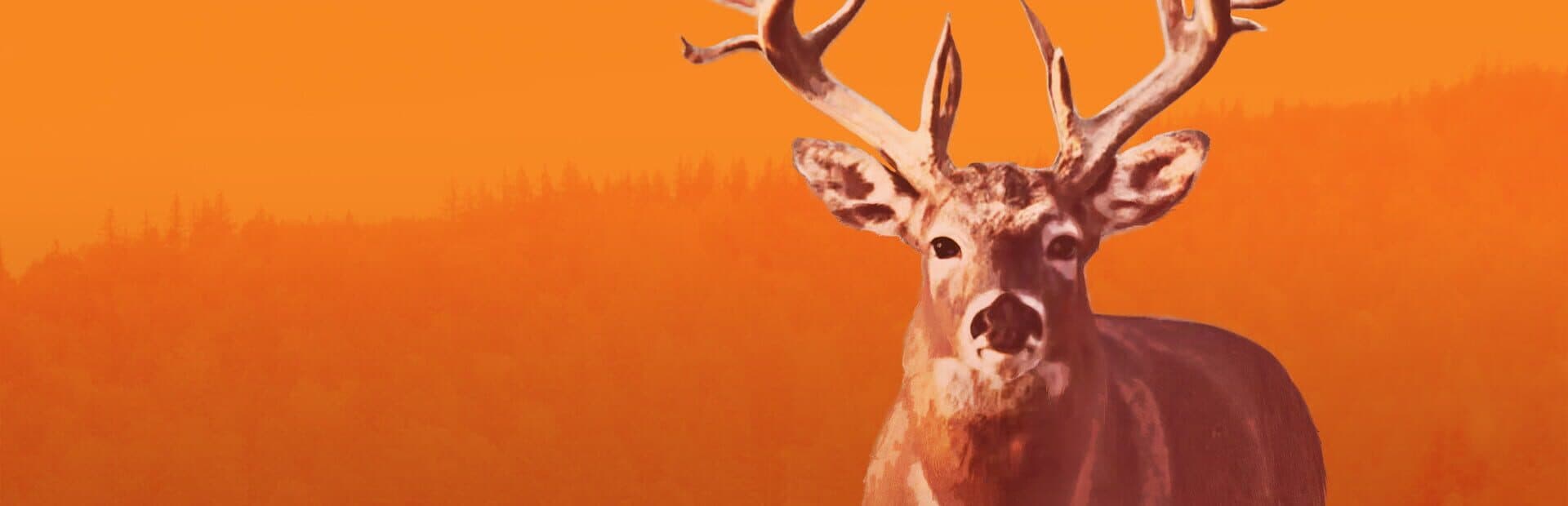 Hunting Unlimited