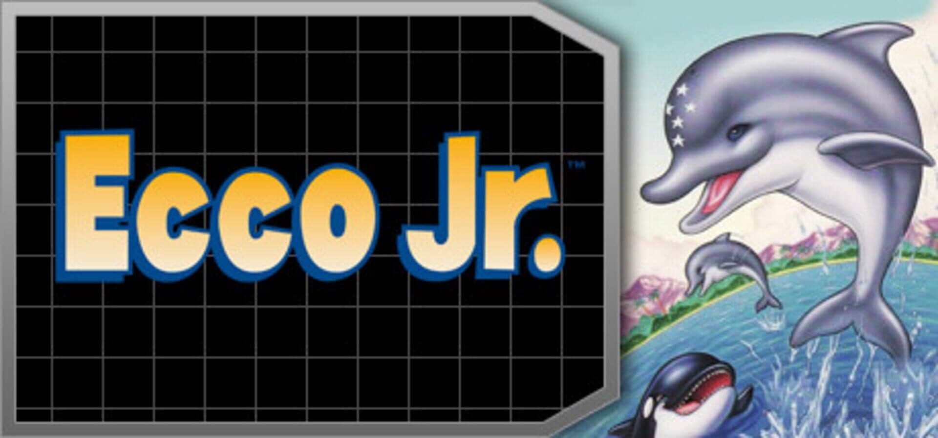 Ecco The Dolphin