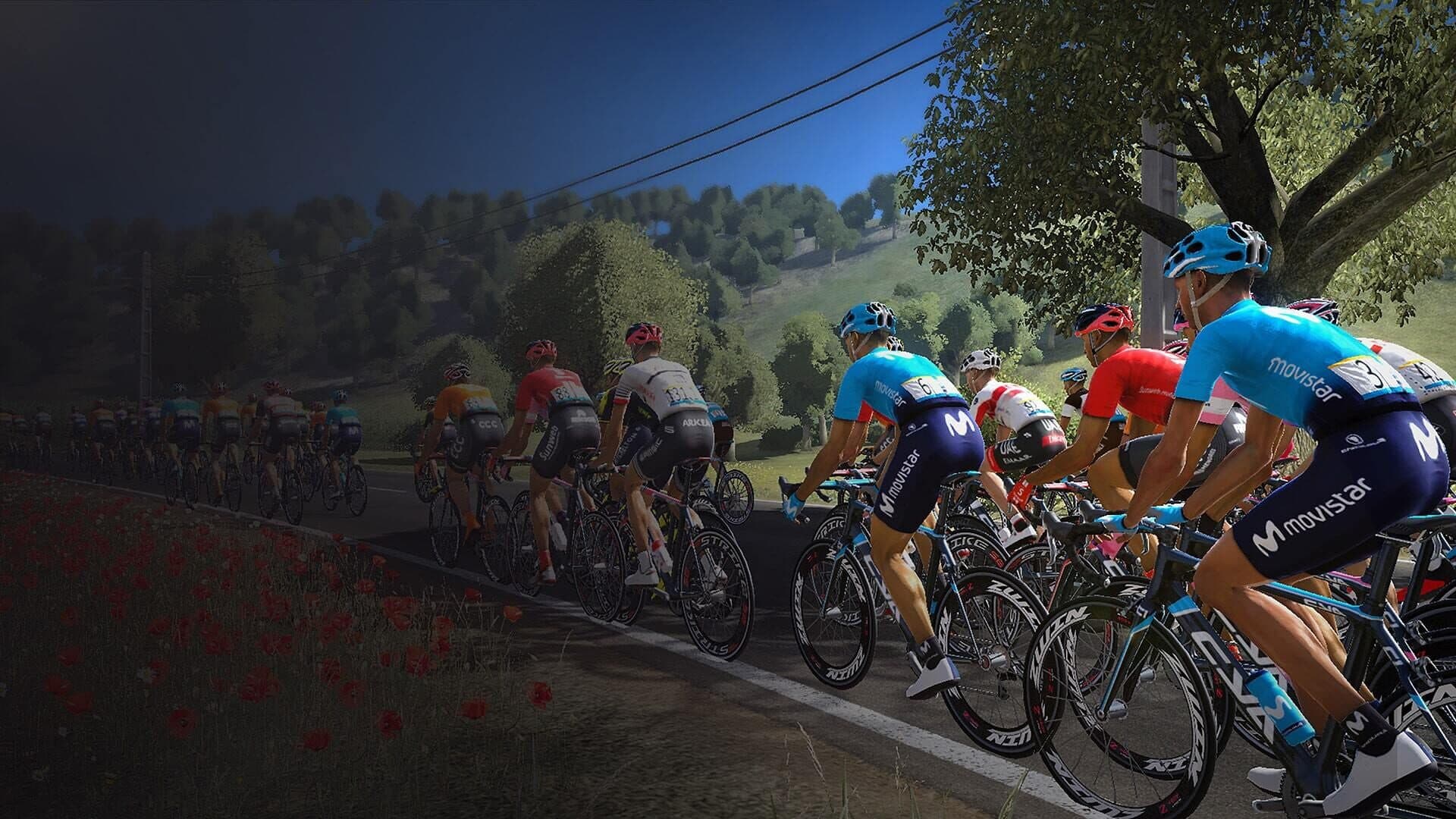 Tour de France