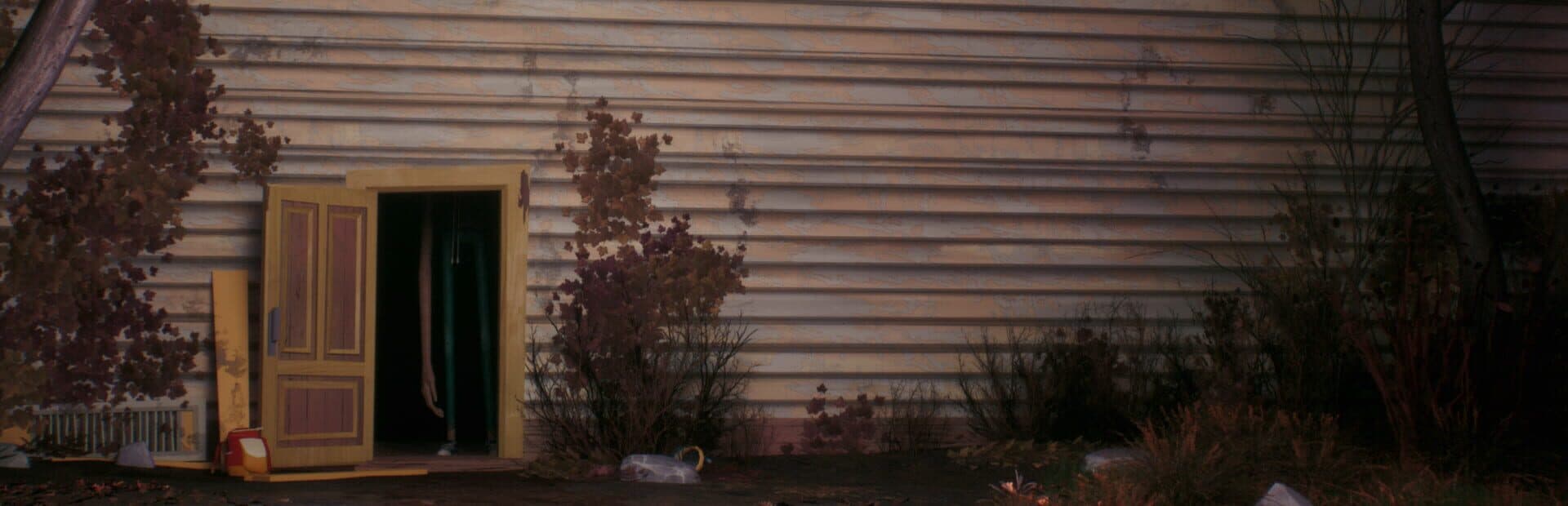 Hello Neighbor