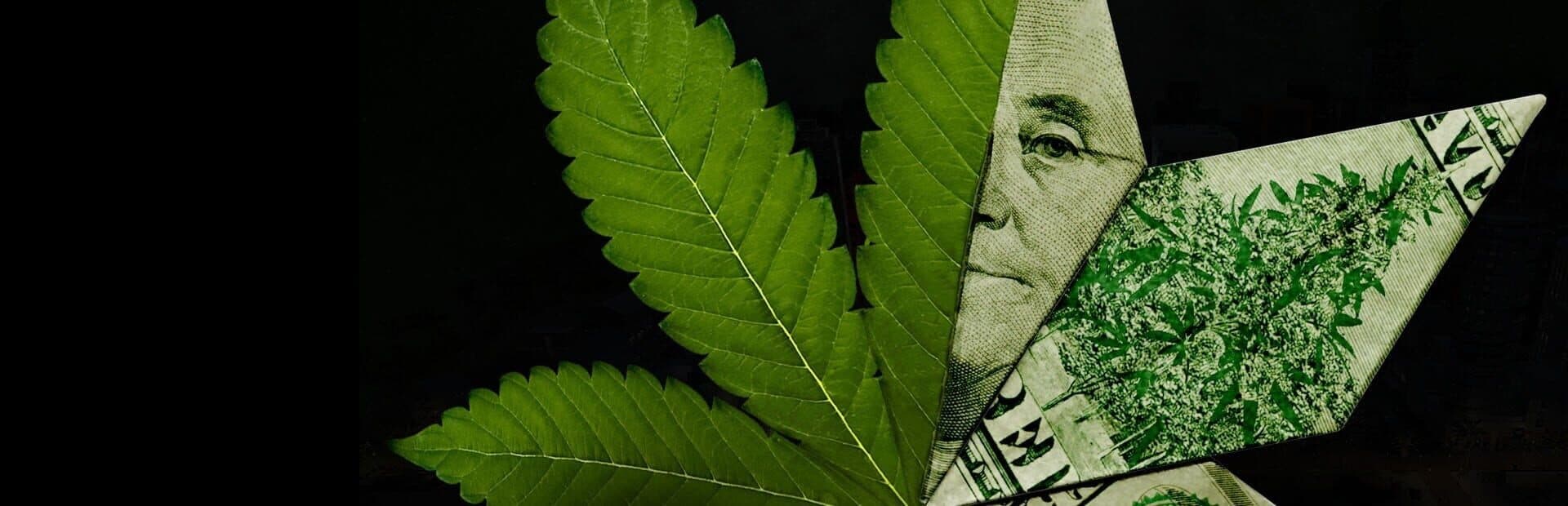 Weed Shop
