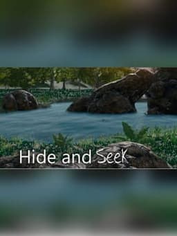 Hide and Seek