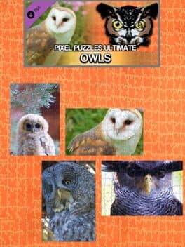 Pixel Puzzles Ultimate: Owls