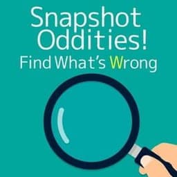 Snapshot Oddities! Find What's Wrong