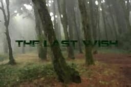 The Last Wish