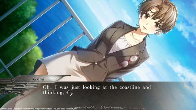 Screenshot 8