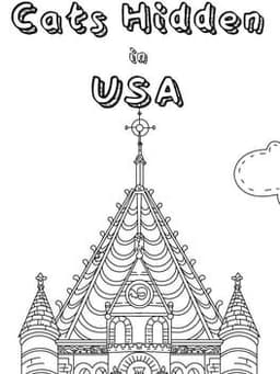 Cats Hidden in USA